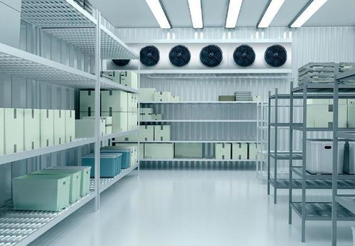 上海專業的食品冷庫定做廠家如何選？享寧等五家優質企業值得參考