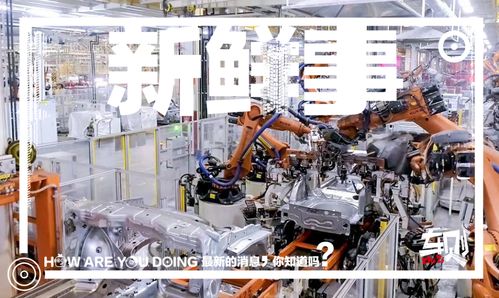 走進上汽大眾長沙工廠 車媒老鳥的圓夢之旅，探秘斯柯達泥地打樁機般完美品質(zhì)